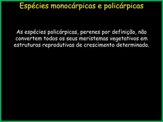 Espécies monocárpicas e policárpicas
As espécies policárpicas, perenes por definição, não
convertem todos os seus meristemas vegetativos em
estruturas reprodutivas de crescimento determinado.
 