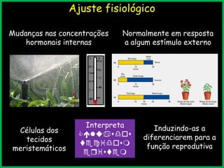 Ajuste fisiológico
Mudanças nas concentrações
hormonais internas
Normalmente em resposta
a algum estímulo externo
Células dos
tecidos
meristemáticos
Interpreta

tecim
eritem
Induzindo-as a
diferenciarem para a
função reprodutiva
 