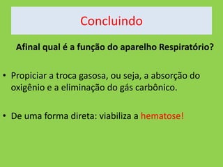 Concluindo
Afinal qual é a função do aparelho Respiratório?
• Propiciar a troca gasosa, ou seja, a absorção do
oxigênio e a eliminação do gás carbônico.
• De uma forma direta: viabiliza a hematose!

 