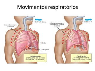 Movimentos respiratórios

 