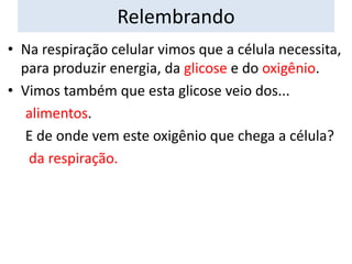 Relembrando
• Na respiração celular vimos que a célula necessita,
para produzir energia, da glicose e do oxigênio.
• Vimos também que esta glicose veio dos...
alimentos.
E de onde vem este oxigênio que chega a célula?
da respiração.

 