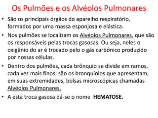 Os Pulmões e os Alvéolos Pulmonares
• São os principais órgãos do aparelho respiratório,
formados por uma massa esponjosa e elástica.
• Nos pulmões se localizam os Alvéolos Pulmonares, que são
os responsáveis pelas trocas gasosas. Ou seja, neles o
oxigênio do ar é trocado pelo o gás carbônico produzido
por nossas células.
• Dentro dos pulmões, cada brônquio se divide em ramos,
cada vez mais finos: são os bronquíolos que apresentam,
em suas extremidades, bolsas microscópicas chamadas
Alvéolos Pulmonares.
• A esta troca gasosa dá-se o nome HEMATOSE.

 