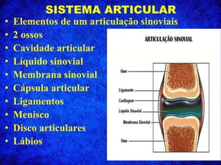 SISTEMA ARTICULAR
• Elementos de um articulação sinoviais
• 2 ossos
• Cavidade articular
• Líquido sinovial
• Membrana sinovial
• Cápsula articular
• Ligamentos
• Menisco
• Disco articulares
• Lábios
 