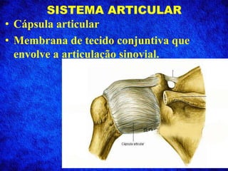 SISTEMA ARTICULAR
• Cápsula articular
• Membrana de tecido conjuntiva que
envolve a articulação sinovial.
 