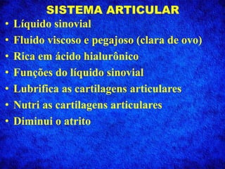 SISTEMA ARTICULAR
• Líquido sinovial
• Fluido viscoso e pegajoso (clara de ovo)
• Rica em ácido hialurônico
• Funções do líquido sinovial
• Lubrifica as cartilagens articulares
• Nutri as cartilagens articulares
• Diminui o atrito
 