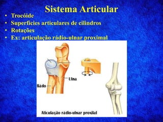 Sistema Articular
• Trocóide
• Superfícies articulares de cilindros
• Rotações
• Ex: articulação rádio-ulnar proximal
 