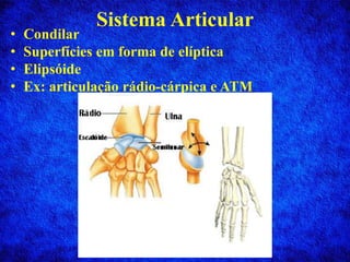 Sistema Articular
• Condilar
• Superfícies em forma de elíptica
• Elipsóide
• Ex: articulação rádio-cárpica e ATM
 