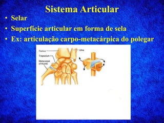Sistema Articular
• Selar
• Superfície articular em forma de sela
• Ex: articulação carpo-metacárpica do polegar
 