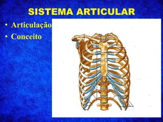 SISTEMA ARTICULAR
• Articulação
• Conceito
 