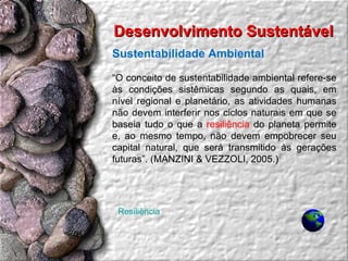 Desenvolvimento Sustentável  Sustentabilidade Ambiental “ O conceito de sustentabilidade ambiental refere-se às condições sistêmicas segundo as quais, em nível regional e planetário, as atividades humanas não devem interferir nos ciclos naturais em que se baseia tudo o que a  resiliência  do planeta permite e, ao mesmo tempo, não devem empobrecer seu capital natural, que será transmitido às gerações futuras”. (MANZINI & VEZZOLI, 2005.)  Resiliência 