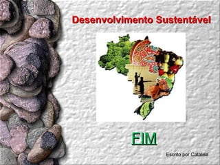 Desenvolvimento Sustentável  FIM Escrito por Catalisa      