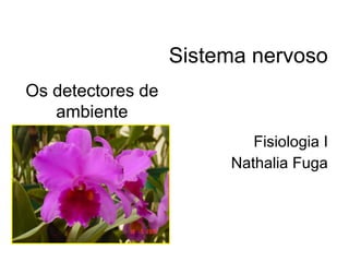 Sistema nervoso Fisiologia I Nathalia Fuga Os detectores de ambiente 