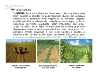 LCE 360 - Meteorologia
Agrícola
Cobertura do
Terreno
Este é um fator microclimático. Solos sem cobertura (desnudos)
ficam sujeitos a grandes variações térmicas diárias nas camadas
superficiais. A cobertura com vegetação ou resíduos vegetais
(mulch) modifica o balanço de radiação e de energia, pois a
cobertura intercepta a radiação solar, impedindo que esta
atinja o solo. Esse fator é importante no sistema de plantio
direto e nos pomares, onde as plantas ficam bem espaçadas. Em
períodos críticos (inverno) e em locais sujeitos a geadas, a
cobertura do terreno é um fator agravante das geadas, pois
impede que o solo armazene calor durante o dia e libere-o para a
superfície à noite
Sistema convencional
solo exposto
Sistema plantio-direto
solo com mulch
Mato na entrelinha
do cafezal
 