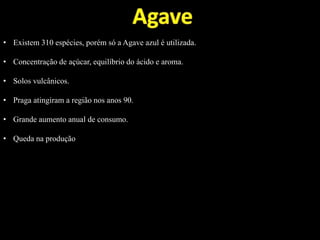 • Existem 310 espécies, porém só a Agave azul é utilizada.
• Concentração de açúcar, equilíbrio do ácido e aroma.
• Solos vulcânicos.
• Praga atingiram a região nos anos 90.
• Grande aumento anual de consumo.
• Queda na produção
 