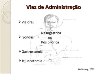 Vias de Administração Sondas Nasogástrica Pós pilórica Gastrostomia Jejunostomia Waitzberg, 2002.  Via oral; ou 