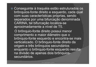 Conseguinte à traquéia estão estruturados os
brônquios-fonte direito e esquerdo, cada qual
com suas características próprias, sendo
separados por uma bifurcação denominada
CARINA, tal bifurcação localiza-se
aproximadamente a nível de T5.
O brônquio-fonte direito possui menor
comprimento e maior diâmetro que ocomprimento e maior diâmetro que o
brônquio-fonte esquerdo e encontra-se mais
verticalizado. O brônquio-fonte direito da
origem a três brônquios secundários
enquanto o brônquio-fonte esquerdo resulta
na divisão de apenas dois brônquios-
secundários.
www.playmagem.com.br
 