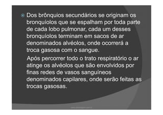 Dos brônquios secundários se originam os
bronquíolos que se espalham por toda parte
de cada lobo pulmonar, cada um desses
bronquíolos terminam em sacos de ar
denominados alvéolos, onde ocorrerá a
troca gasosa com o sangue.
Após percorrer todo o trato respiratório o arApós percorrer todo o trato respiratório o ar
atinge os alvéolos que são envolvidos por
finas redes de vasos sanguíneos
denominados capilares, onde serão feitas as
trocas gasosas.
www.playmagem.com.br
 