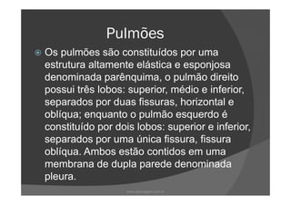 Pulmões
Os pulmões são constituídos por uma
estrutura altamente elástica e esponjosa
denominada parênquima, o pulmão direito
possui três lobos: superior, médio e inferior,
separados por duas fissuras, horizontal eseparados por duas fissuras, horizontal e
oblíqua; enquanto o pulmão esquerdo é
constituído por dois lobos: superior e inferior,
separados por uma única fissura, fissura
oblíqua. Ambos estão contidos em uma
membrana de dupla parede denominada
pleura.
www.playmagem.com.br
 