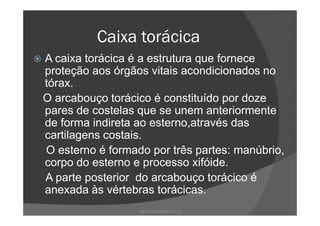 Caixa torácica
A caixa torácica é a estrutura que fornece
proteção aos órgãos vitais acondicionados no
tórax.
O arcabouço torácico é constituído por doze
pares de costelas que se unem anteriormentepares de costelas que se unem anteriormente
de forma indireta ao esterno,através das
cartilagens costais.
O esterno é formado por três partes: manúbrio,
corpo do esterno e processo xifóide.
A parte posterior do arcabouço torácico é
anexada às vértebras torácicas.
www.playmagem.com.br
 