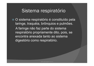 Sistema respiratório
O sistema respiratório é constituído pela
laringe, traquéia, brônquios e pulmões.
A faringe não faz parte do sistema
respiratório propriamente dito, pois, serespiratório propriamente dito, pois, se
encontra anexada tanto ao sistema
digestório como respiratório.
www.playmagem.com.br
 