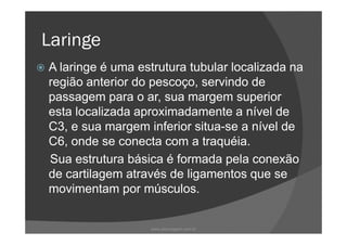 Laringe
A laringe é uma estrutura tubular localizada na
região anterior do pescoço, servindo de
passagem para o ar, sua margem superior
esta localizada aproximadamente a nível de
C3, e sua margem inferior situa-se a nível deC3, e sua margem inferior situa-se a nível de
C6, onde se conecta com a traquéia.
Sua estrutura básica é formada pela conexão
de cartilagem através de ligamentos que se
movimentam por músculos.
www.playmagem.com.br
 