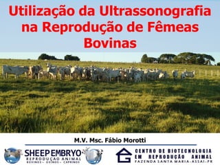 M.V. Msc. Fábio Morotti
Utilização da Ultrassonografia
na Reprodução de Fêmeas
Bovinas
 