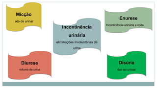 Micção
ato de urinar
Enurese
Incontinência urinária a noite
Incontinência
urinária
eliminações involuntárias de
urina
Diurese
volume de urina
Disúria
dor ao urinar
 