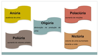Anúria
ausência de urina
Oligúria
diminuição na produção de
urina
Polaciúria
aumento de micções
Nictúria
volume de urina aumentado
durante a noite
Poliúria
aumento do volume urinário
 