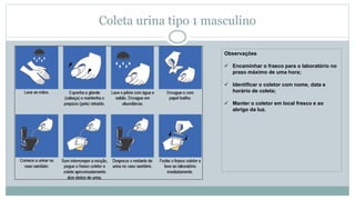 Coleta urina tipo 1 masculino
Observações
 Encaminhar o frasco para o laboratório no
prazo máximo de uma hora;
 Identificar o coletor com nome, data e
horário de coleta;
 Manter o coletor em local fresco e ao
abrigo da luz.
 