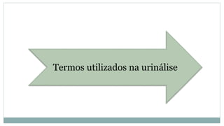 Termos utilizados na urinálise
 