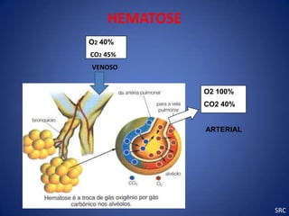 HEMATOSE
O2 40%
CO2 45%
VENOSO


               O2 100%
               CO2 40%


               ARTERIAL




                          SRC
 