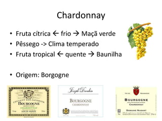 Chardonnay
• Fruta cítrica  frio  Maçã verde
• Pêssego -> Clima temperado
• Fruta tropical  quente  Baunilha
• Origem: Borgogne
 