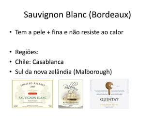 Sauvignon Blanc (Bordeaux)
• Tem a pele + fina e não resiste ao calor
• Regiões:
• Chile: Casablanca
• Sul da nova zelândia (Malborough)
 