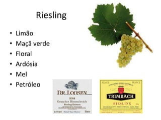 Riesling
• Limão
• Maçã verde
• Floral
• Ardósia
• Mel
• Petróleo
 