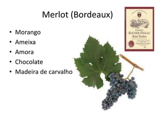 Merlot (Bordeaux)
• Morango
• Ameixa
• Amora
• Chocolate
• Madeira de carvalho
 