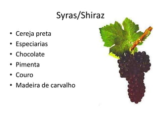 Syras/Shiraz
• Cereja preta
• Especiarias
• Chocolate
• Pimenta
• Couro
• Madeira de carvalho
 