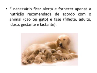 • É necessário ficar alerta e fornecer apenas a
nutrição recomendada de acordo com o
animal (cão ou gato) e fase (filhote, adulto,
idoso, gestante e lactante).
 