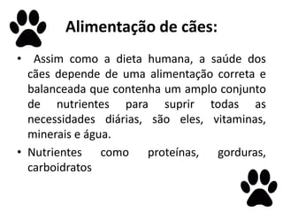 Alimentação de cães:
• Assim como a dieta humana, a saúde dos
cães depende de uma alimentação correta e
balanceada que contenha um amplo conjunto
de nutrientes para suprir todas as
necessidades diárias, são eles, vitaminas,
minerais e água.
• Nutrientes como proteínas, gorduras,
carboidratos
 