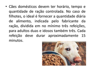 • Cães domésticos devem ter horário, tempo e
quantidade de ração controlada. No caso de
filhotes, o ideal é fornecer a quantidade diária
de alimento, indicada pelo fabricante da
ração, dividida em no mínimo três refeições,
para adultos duas e idosos também três. Cada
refeição deve durar aproximadamente 15
minutos.
 