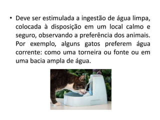 • Deve ser estimulada a ingestão de água limpa,
colocada à disposição em um local calmo e
seguro, observando a preferência dos animais.
Por exemplo, alguns gatos preferem água
corrente: como uma torneira ou fonte ou em
uma bacia ampla de água.
 