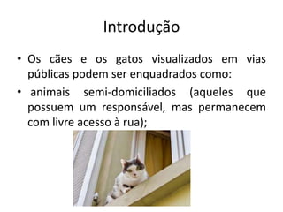 Introdução
• Os cães e os gatos visualizados em vias
públicas podem ser enquadrados como:
• animais semi-domiciliados (aqueles que
possuem um responsável, mas permanecem
com livre acesso à rua);
 