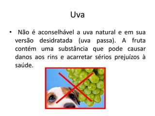 Uva
• Não é aconselhável a uva natural e em sua
versão desidratada (uva passa). A fruta
contém uma substância que pode causar
danos aos rins e acarretar sérios prejuízos à
saúde.
 