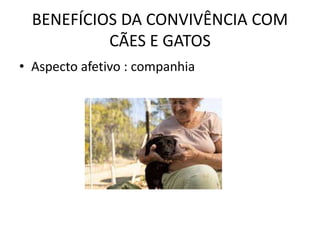BENEFÍCIOS DA CONVIVÊNCIA COM
CÃES E GATOS
• Aspecto afetivo : companhia
 