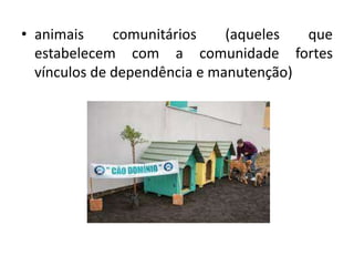 • animais comunitários (aqueles que
estabelecem com a comunidade fortes
vínculos de dependência e manutenção)
 