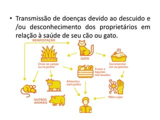 • Transmissão de doenças devido ao descuido e
/ou desconhecimento dos proprietários em
relação à saúde de seu cão ou gato.
 