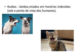 • Ruídos : latidos,miados em horários indevidos
(sob o ponto de vista dos humanos).
 
