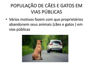POPULAÇÃO DE CÃES E GATOS EM
VIAS PÚBLICAS
• Vários motivos fazem com que proprietários
abandonem seus animais (cães e gatos ) em
vias públicas
 