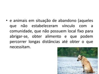 • e animais em situação de abandono (aqueles
que não estabeleceram vínculo com a
comunidade, que não possuem local fixo para
abrigar-se, obter alimento e que podem
percorrer longas distâncias até obter o que
necessitam.
 