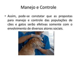 Manejo e Controle
• Assim, pode-se constatar que as propostas
para manejo e controle das populações de
cães e gatos serão efetivas somente com o
envolvimento de diversos atores sociais.
 