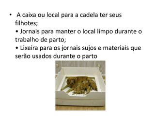 • A caixa ou local para a cadela ter seus
filhotes;
• Jornais para manter o local limpo durante o
trabalho de parto;
• Lixeira para os jornais sujos e materiais que
serão usados durante o parto
 